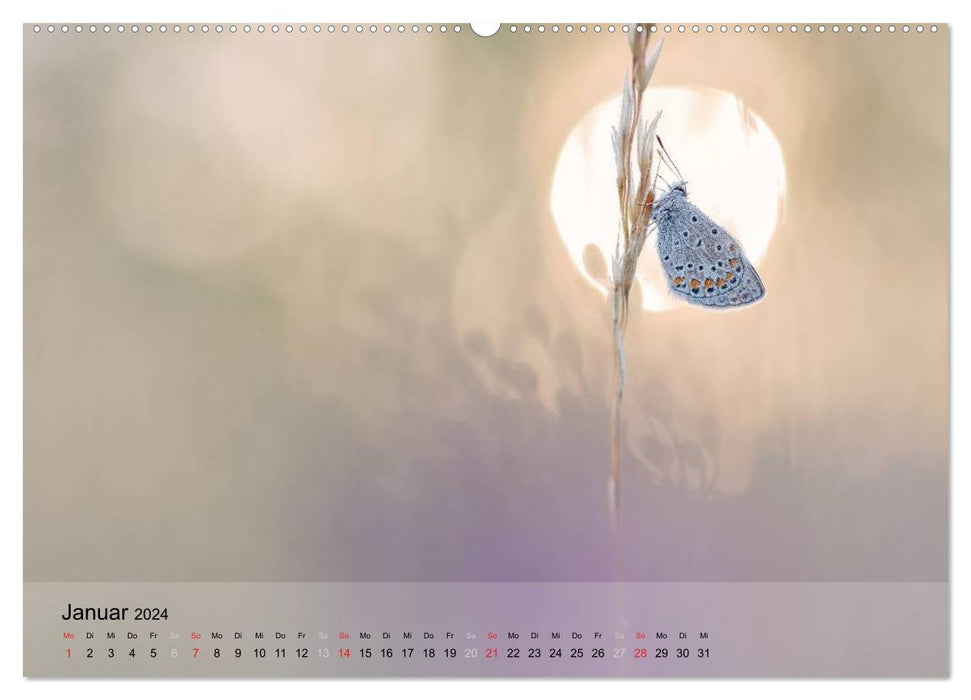 Nature photography (CALVENDO wall calendar 2024) 
