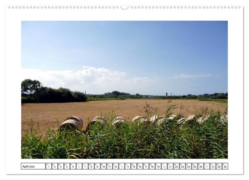 Borkum - Île de Frise orientale avec charme (calendrier mural CALVENDO 2024) 