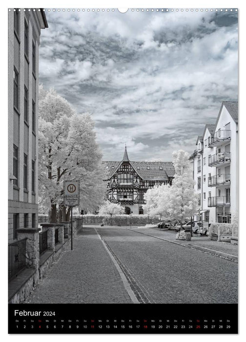 Photographie infrarouge 3 par Kurt Lochte – Bad Salzungen (Calvendo Premium Wall Calendar 2024) 