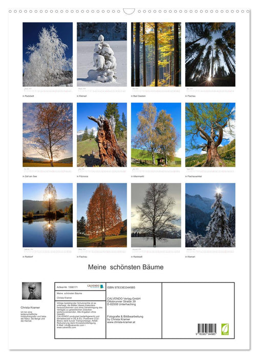 Mes plus beaux arbres (Calendrier mural CALVENDO 2024) 