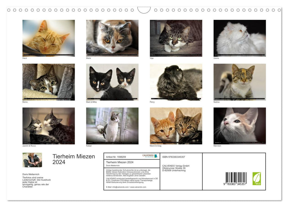 Animal shelter - kitties (CALVENDO wall calendar 2024) 