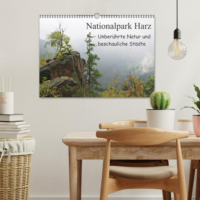 Parc national du Harz Nature intacte et villes tranquilles (calendrier mural CALVENDO 2024) 