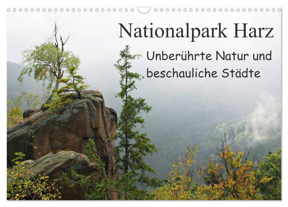 Harz National Park Untouched nature and tranquil cities (CALVENDO wall calendar 2024) 