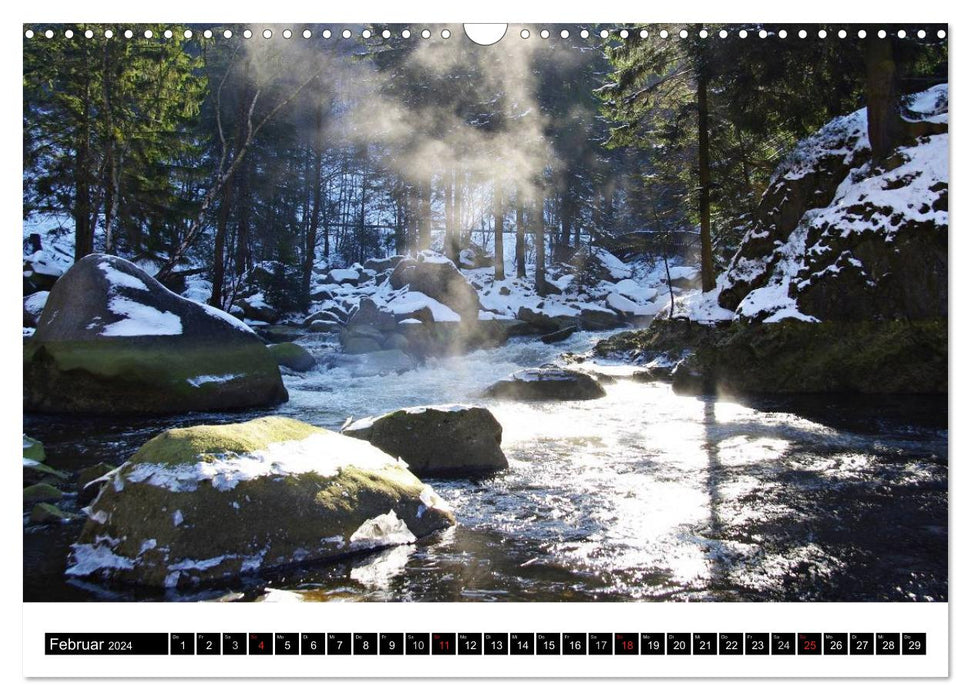 Parc national du Harz Nature intacte et villes tranquilles (calendrier mural CALVENDO 2024) 