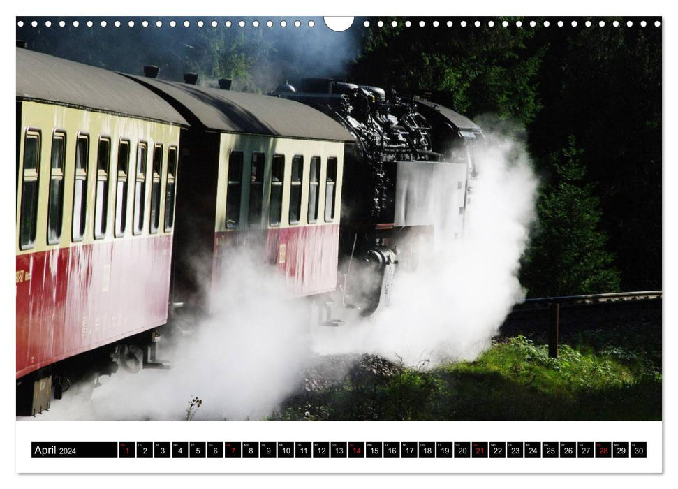 Parc national du Harz Nature intacte et villes tranquilles (calendrier mural CALVENDO 2024) 