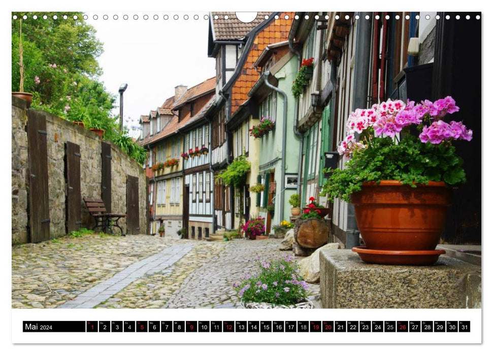 Harz National Park Untouched nature and tranquil cities (CALVENDO wall calendar 2024) 