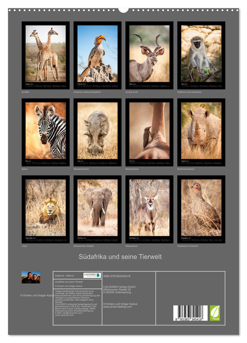 L'Afrique du Sud et sa faune (Calendrier mural CALVENDO Premium 2024) 