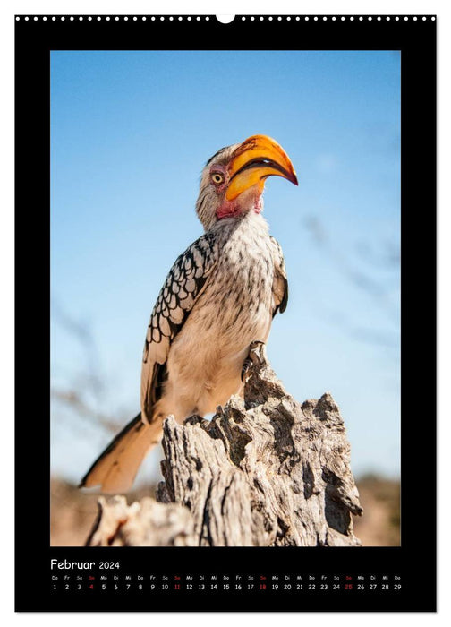 South Africa and its wildlife (CALVENDO Premium Wall Calendar 2024) 