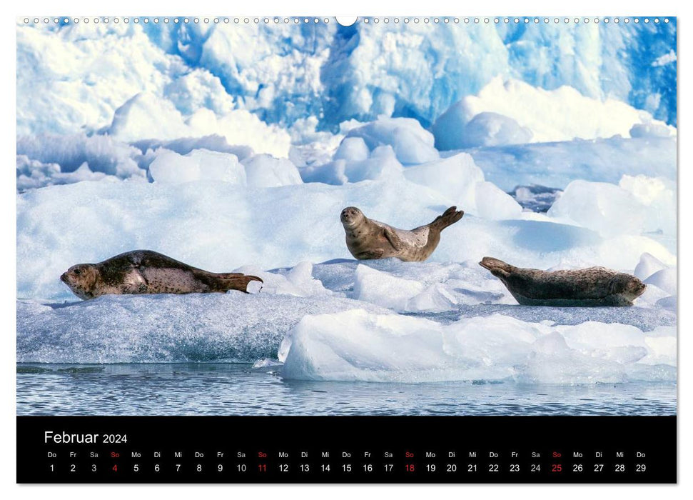 FASZINATION ALASKA Expedition durch die Inside Passage (CALVENDO Premium Wandkalender 2024)
