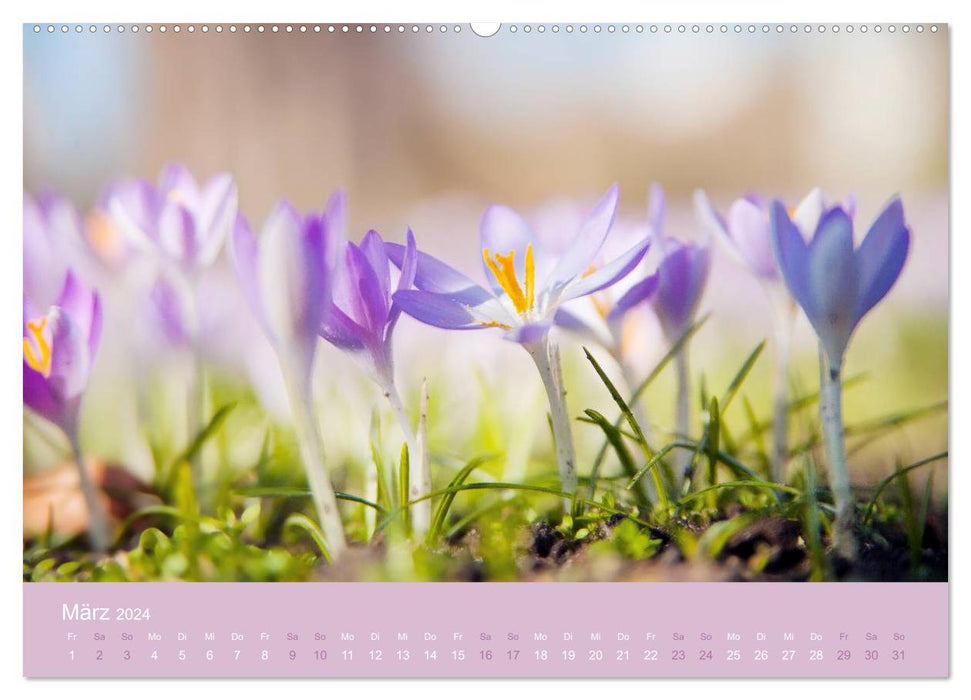 Changing times - A year in nature (CALVENDO wall calendar 2024) 