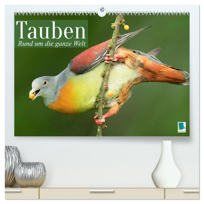 Pigeons around the world (CALVENDO Premium Wall Calendar 2024) 