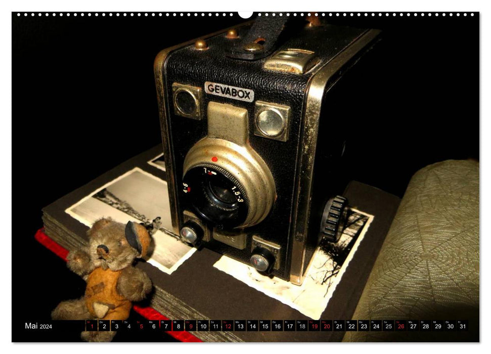 Historical cameras (CALVENDO Premium Wall Calendar 2024) 
