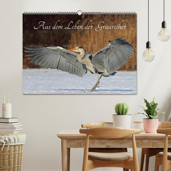 From the life of gray herons (CALVENDO wall calendar 2024) 