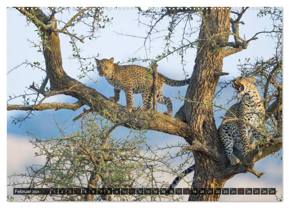 East Africa (CALVENDO wall calendar 2024) 