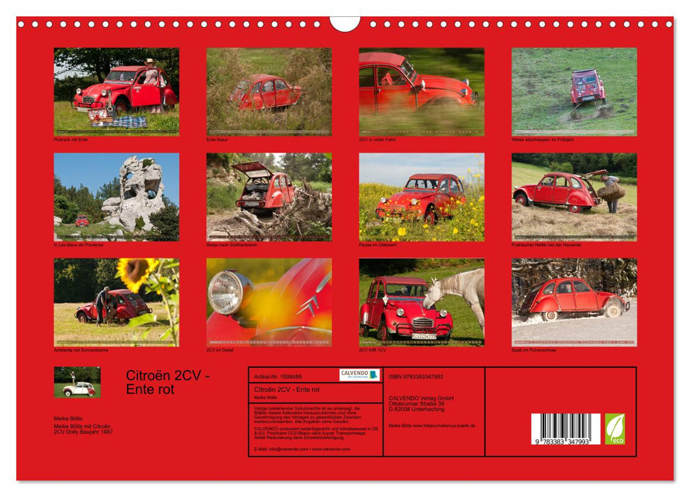 Citroën 2CV - duck red (CALVENDO wall calendar 2024) 