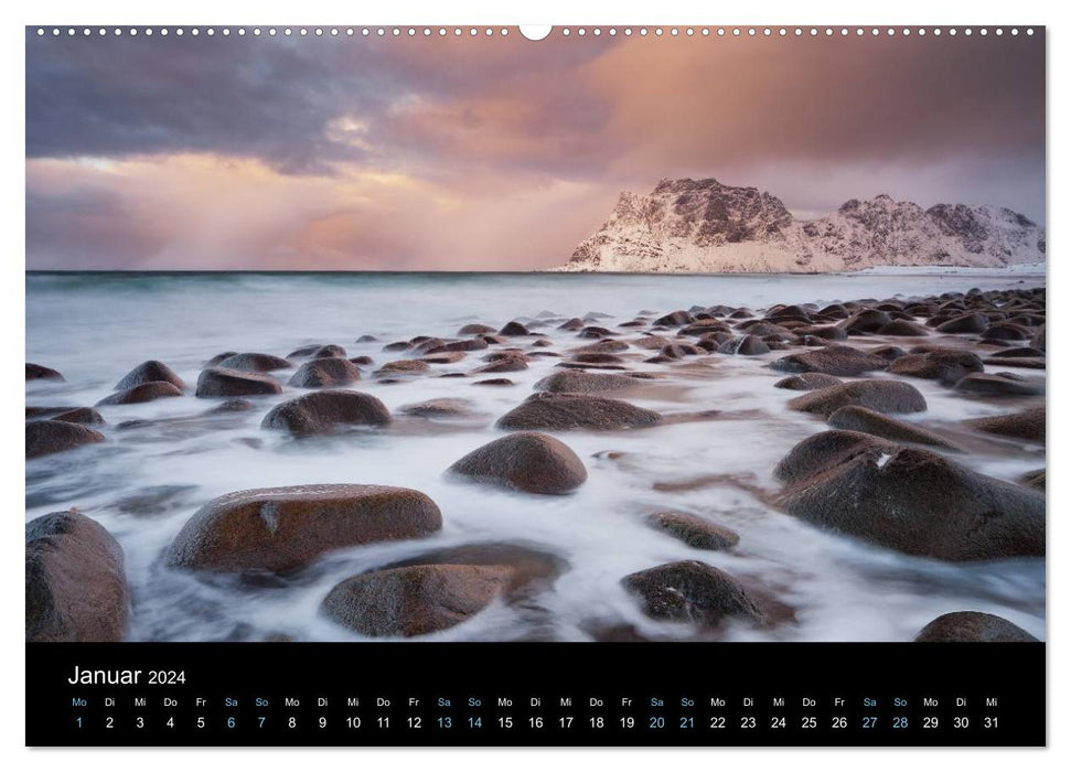 Wild Europe 2024 (CALVENDO Premium Wall Calendar 2024) 