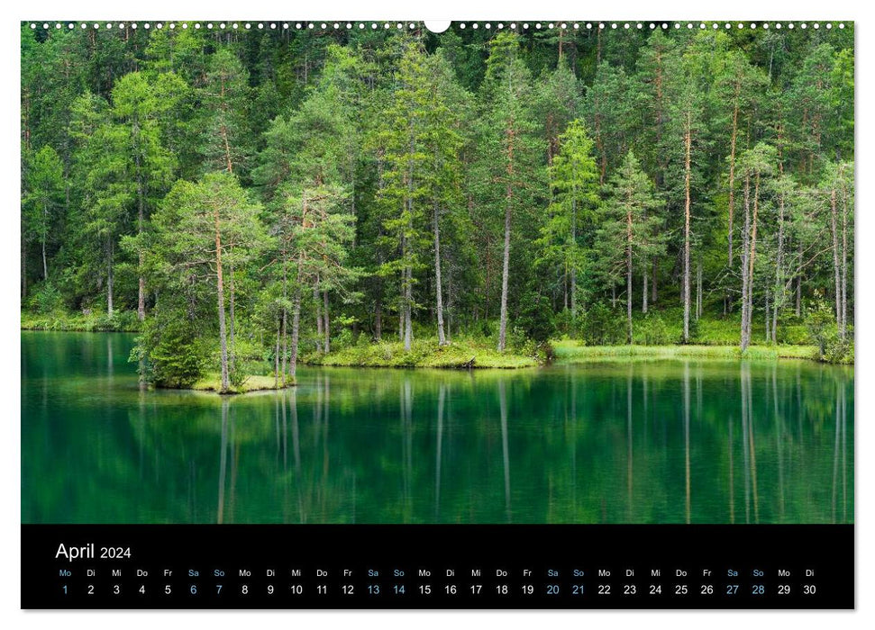 Wild Europe 2024 (CALVENDO Premium Wall Calendar 2024) 