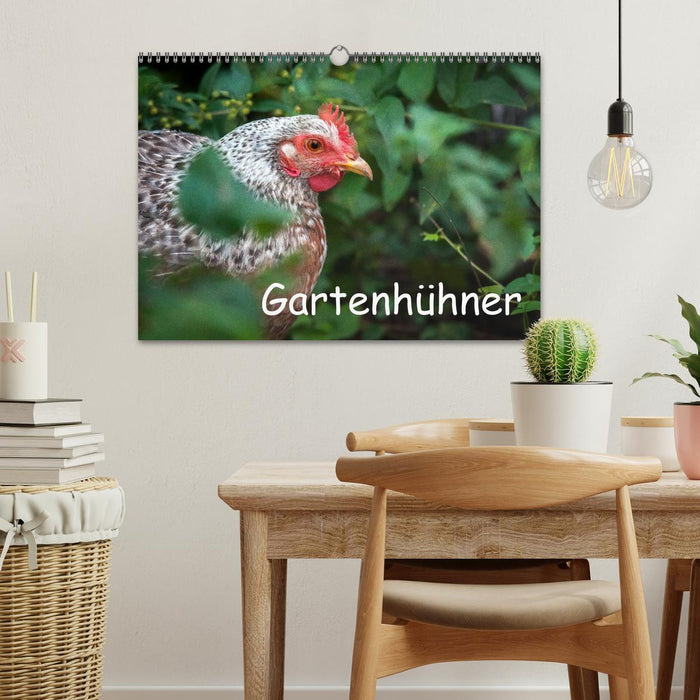 Garden chickens (CALVENDO wall calendar 2024) 