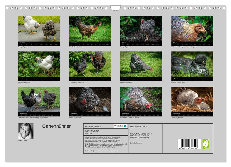 Garden chickens (CALVENDO wall calendar 2024) 