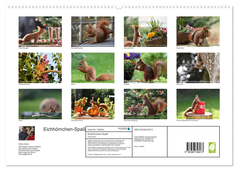 Eichhörnchen-Spaß (CALVENDO Premium Wandkalender 2024)