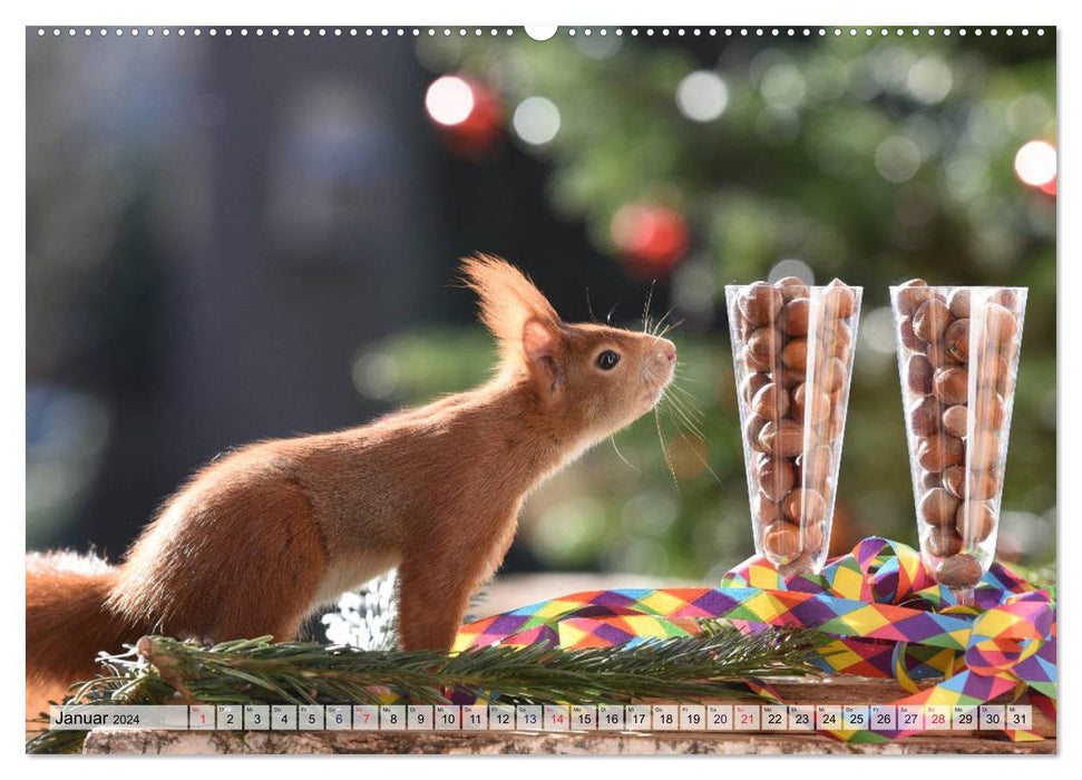 Squirrel Fun (CALVENDO Premium Wall Calendar 2024) 