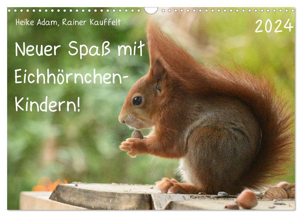 New fun with squirrel children (CALVENDO wall calendar 2024) 