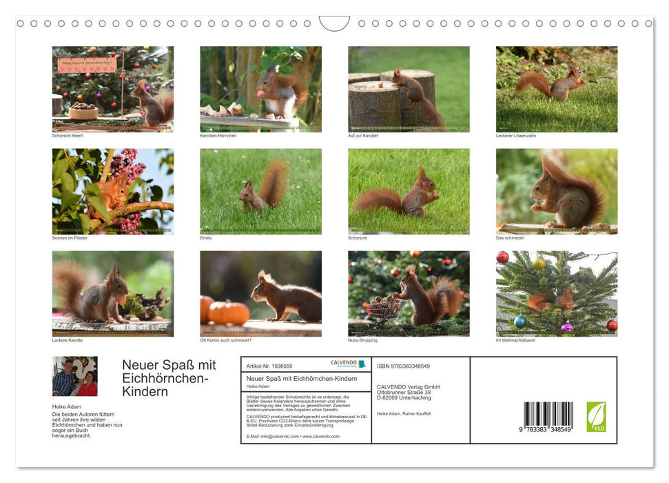 New fun with squirrel children (CALVENDO wall calendar 2024) 