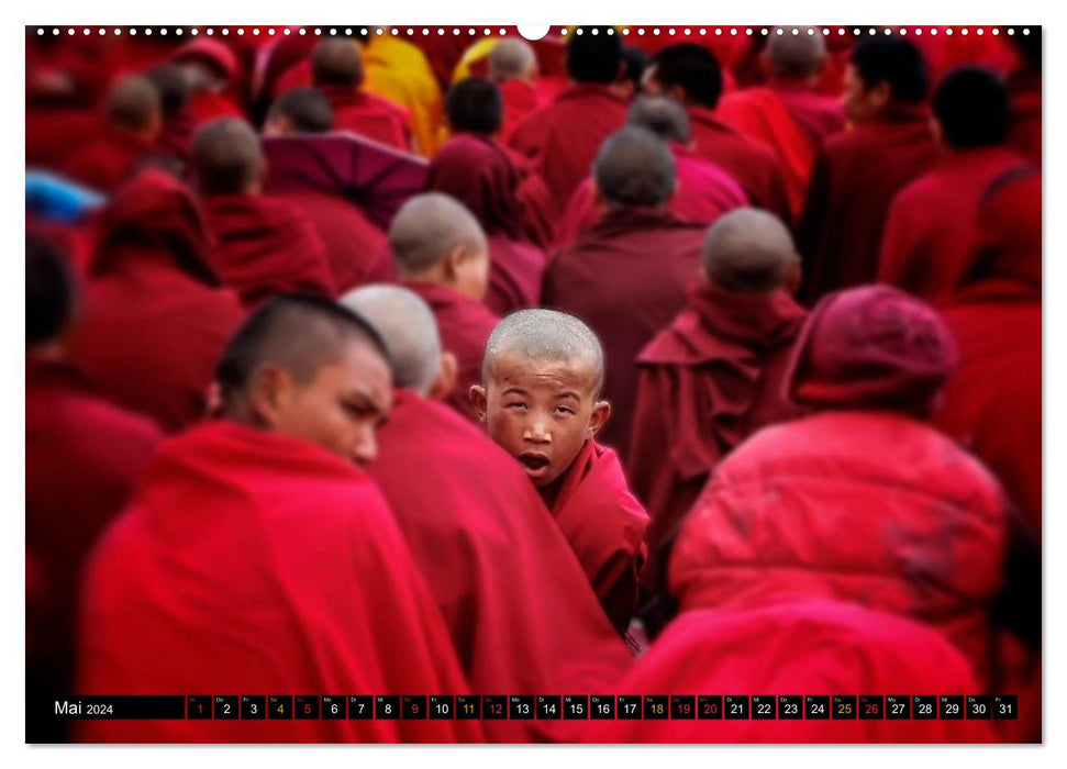 Buddhist monks - life for Buddha (CALVENDO Premium Wall Calendar 2024) 