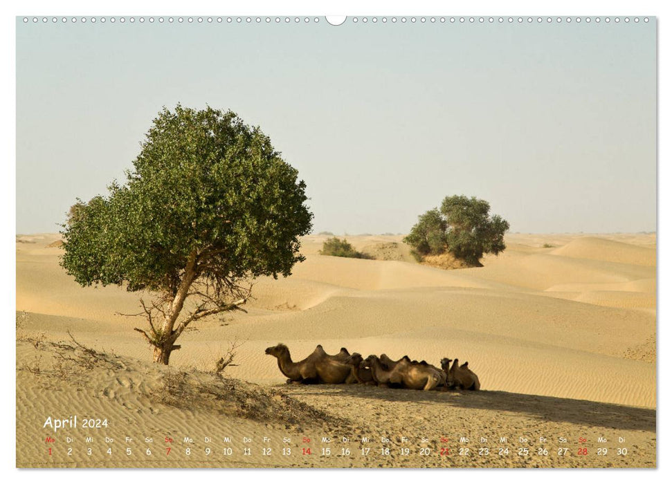 On the road in the Taklamakan Desert (CALVENDO Premium Wall Calendar 2024) 