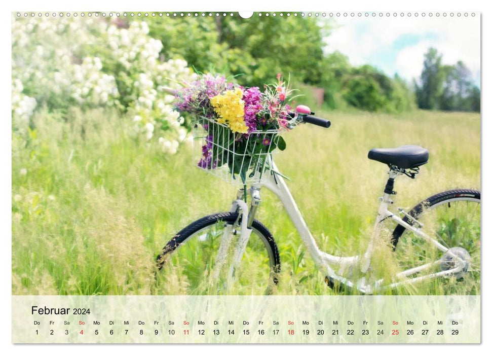 Landhaus-Romantik. Die Farben des Sommers (CALVENDO Premium Wandkalender 2024)