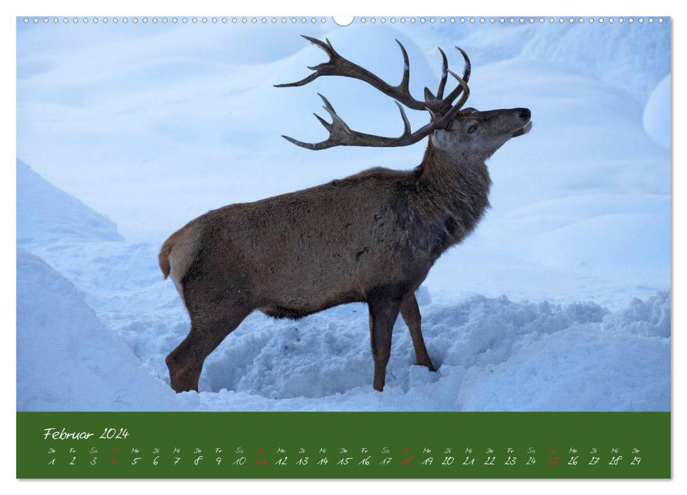 Waidmannsheil and Waidmannsdank (CALVENDO Premium Wall Calendar 2024) 