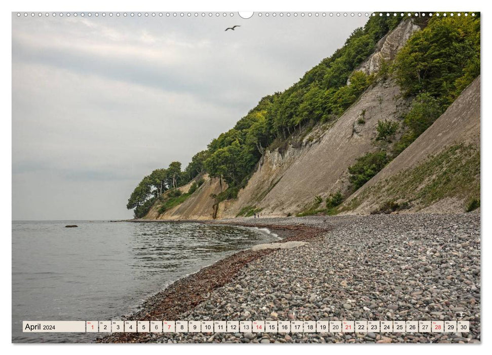 Holiday paradise Rügen (CALVENDO Premium wall calendar 2024) 