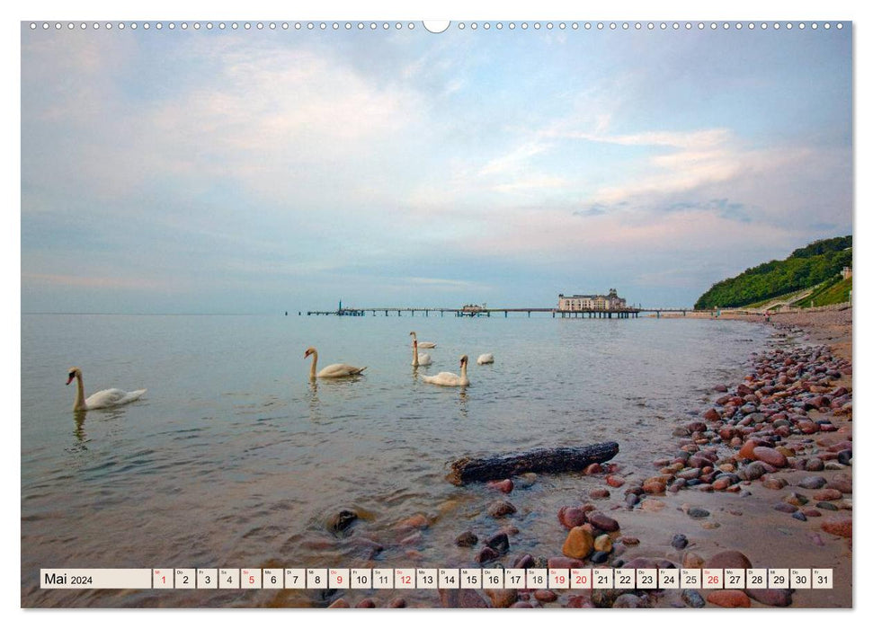 Holiday paradise Rügen (CALVENDO Premium wall calendar 2024) 