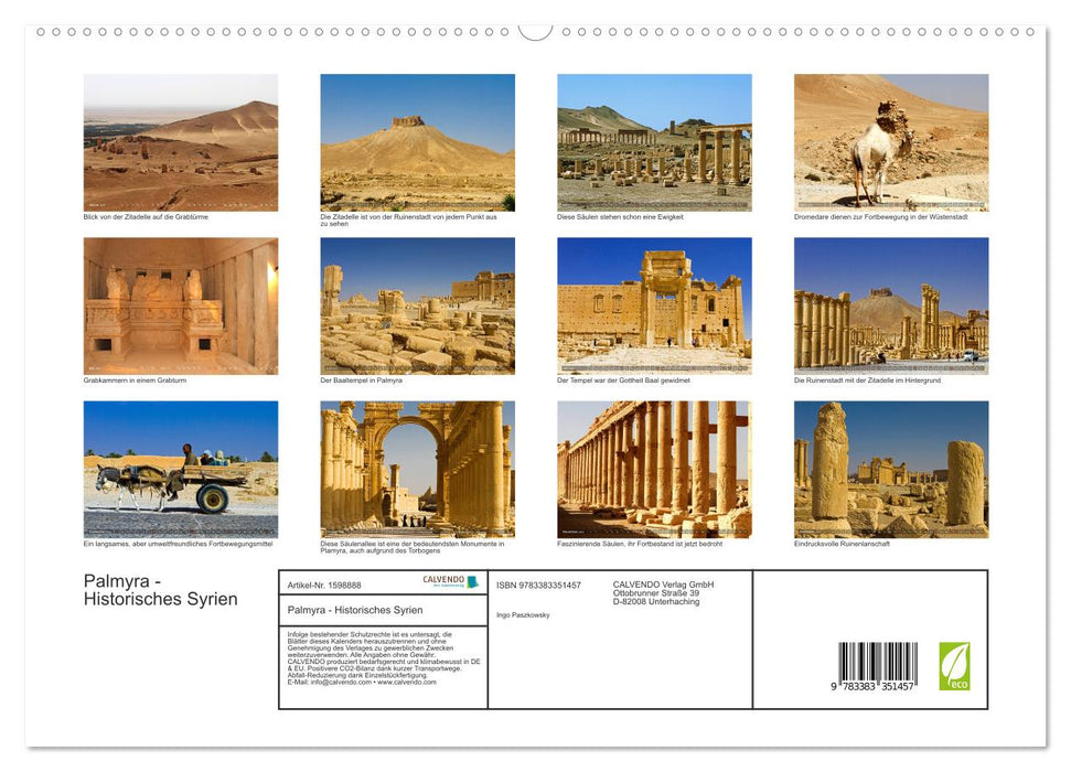 Palmyra - Historisches Syrien (CALVENDO Premium Wandkalender 2024)