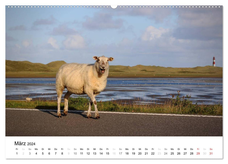 Sylt, the North Frisian island dream (CALVENDO wall calendar 2024) 