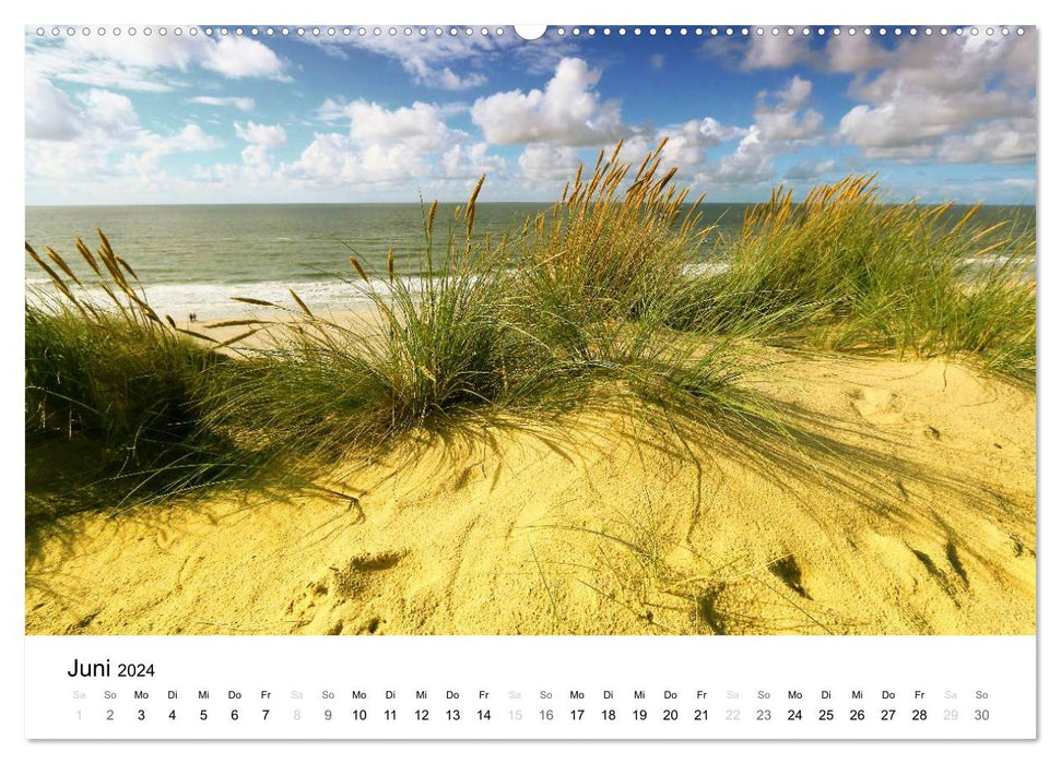 Sylt, le rêve insulaire de la Frise du Nord (calendrier mural CALVENDO 2024) 