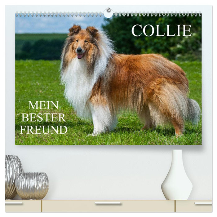 Collie - Mein bester Freund (CALVENDO Premium Wandkalender 2024)