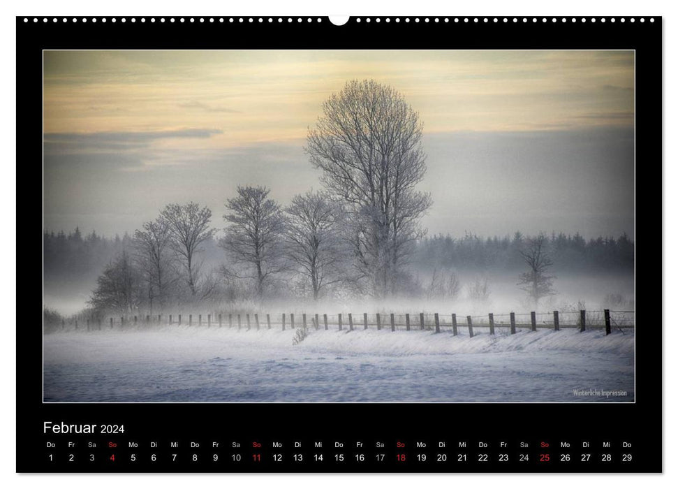 Vues nordiques - lieux à voir et paysages typiques du nord de l'Allemagne (calendrier mural CALVENDO 2024) 