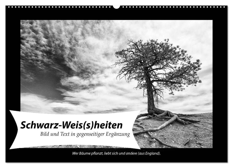 Black and white (CALVENDO wall calendar 2024) 