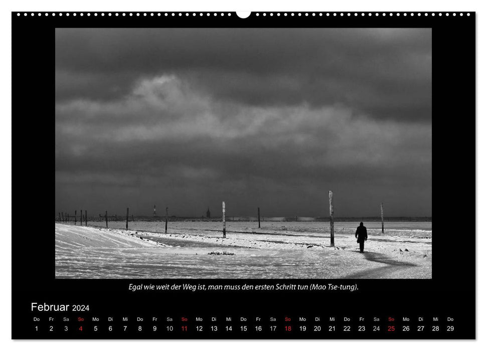 Black and white (CALVENDO wall calendar 2024) 