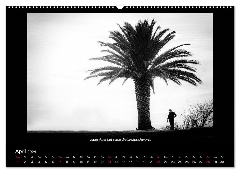 Black and white (CALVENDO wall calendar 2024) 