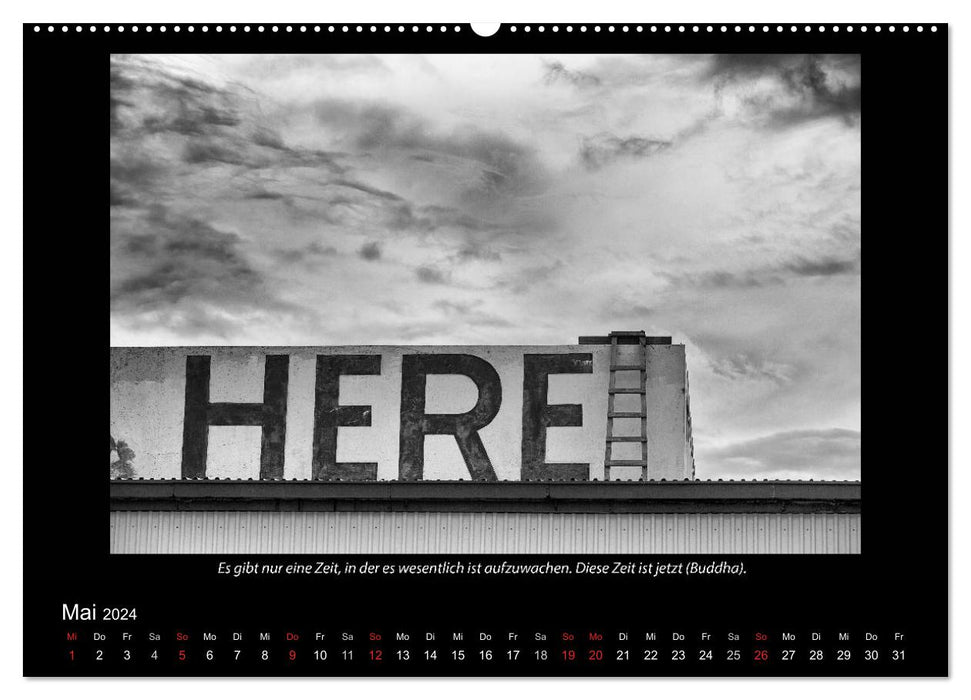 Black and white (CALVENDO wall calendar 2024) 