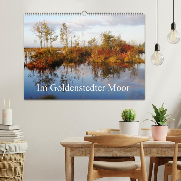 Im Goldenstedter Moor (CALVENDO Wandkalender 2024)