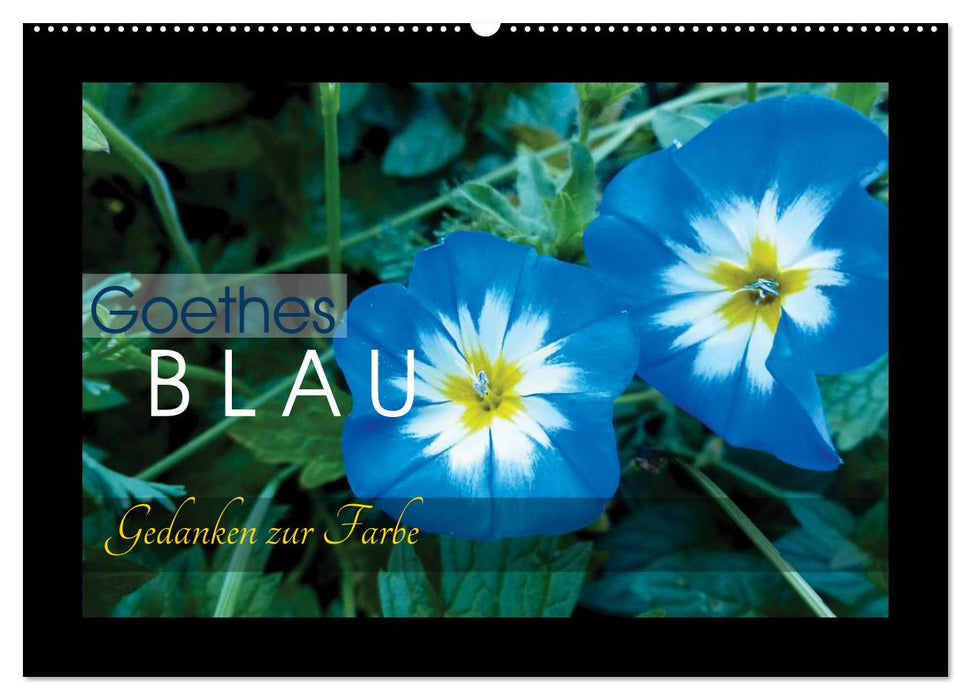 Goethes Blau. Gedanken zur Farbe (CALVENDO Wandkalender 2024)