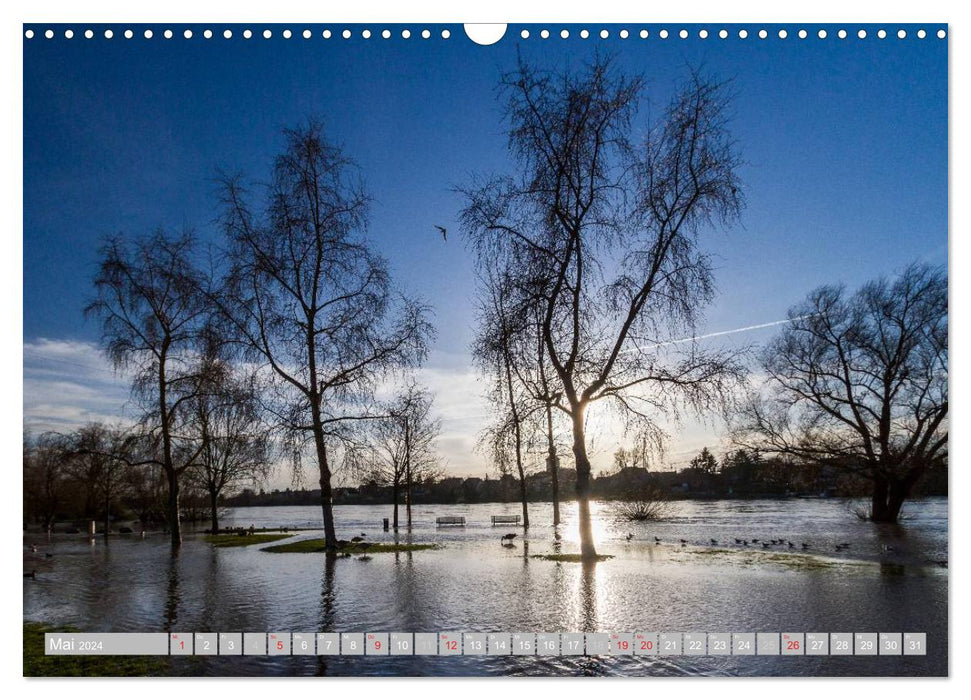 Ladenburg - Pearl of North Baden (CALVENDO wall calendar 2024) 