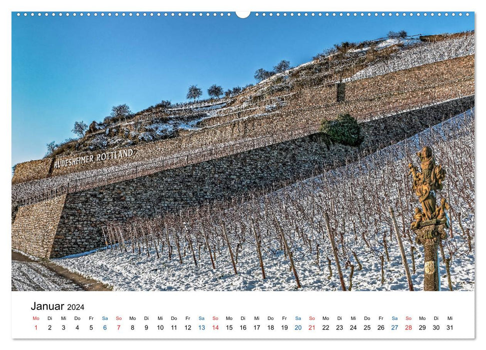 Rheingau - Culture du Riesling du Rhin (Calvendo Premium Wall Calendar 2024) 