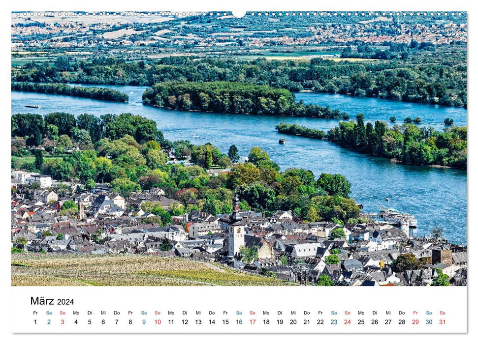 Rheingau - Culture du Riesling du Rhin (Calvendo Premium Wall Calendar 2024) 