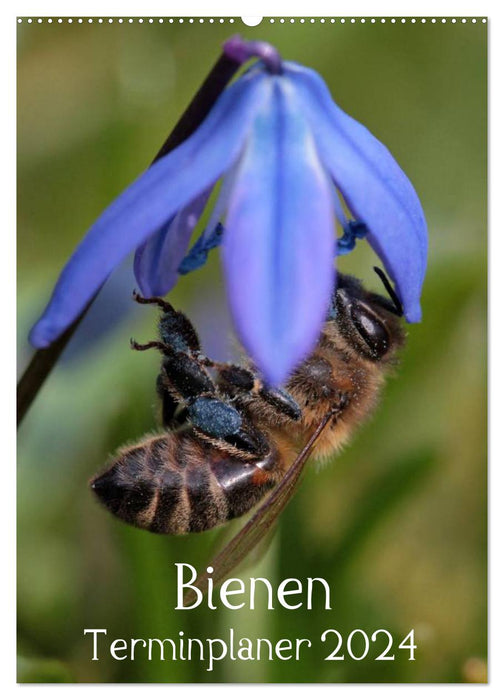 Bienen-Terminplaner 2024 (CALVENDO Wandkalender 2024)