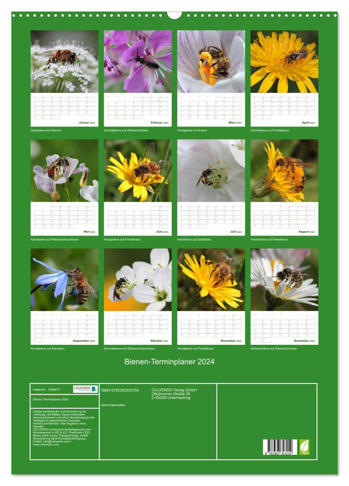 Agenda abeille 2024 (Calendrier mural CALVENDO 2024) 