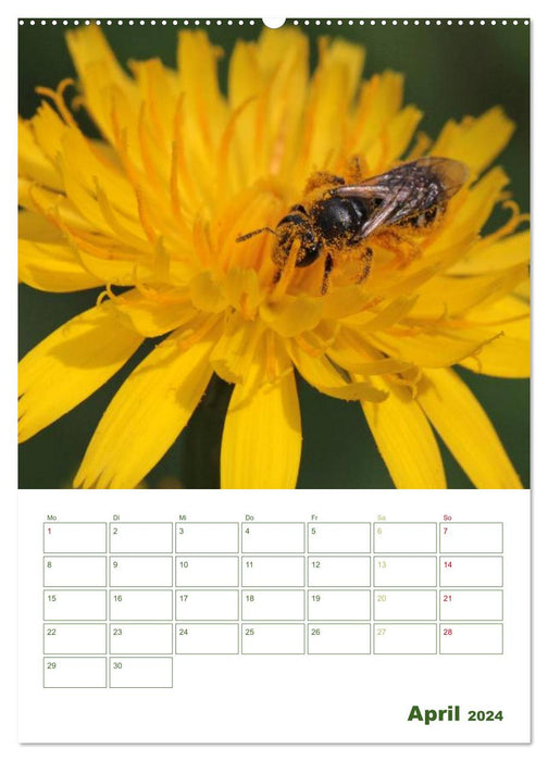 Bienen-Terminplaner 2024 (CALVENDO Wandkalender 2024)